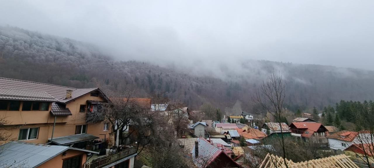 Sara Apart Belleview Sinaia Exterior photo